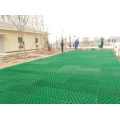 Grass Grid Reinforcement  Low Cost Reinforcement China factory hot sale
